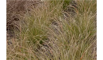 Gartenbaumschule Becker