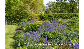 Gartenbaumschule Becker