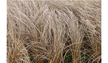 Gartenbaumschule Becker