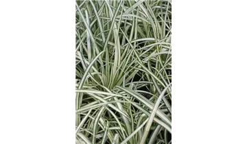 Gartenbaumschule Becker