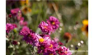 Gartenbaumschule Becker