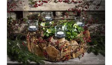 Gartenbaumschule Becker