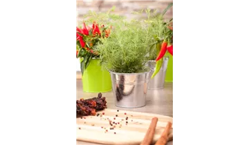 Gartenbaumschule Becker