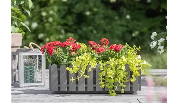 Gartenbaumschule Becker