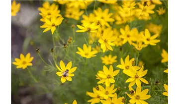 Gartenbaumschule Becker