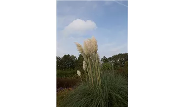 Gartenbaumschule Becker