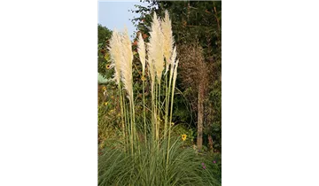 Gartenbaumschule Becker