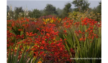 Gartenbaumschule Becker