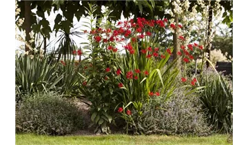 Gartenbaumschule Becker