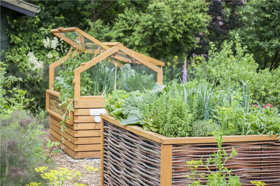 Gemseanbau im Hochbeet - Ein neuer Trend nach alten Regeln -  GartenBaumschule Becker
