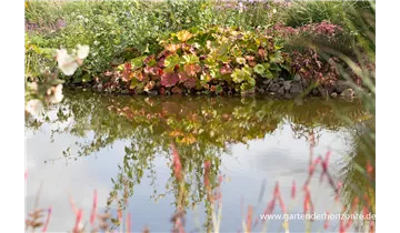 Gartenbaumschule Becker