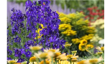 Gartenbaumschule Becker