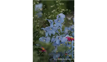 Gartenbaumschule Becker