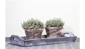 Gartenbaumschule Becker