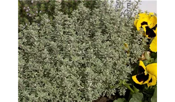 Gartenbaumschule Becker