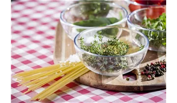 Gartenbaumschule Becker