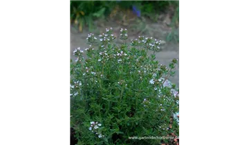 Gartenbaumschule Becker