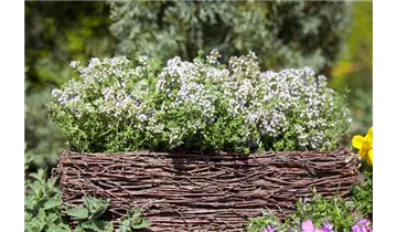 Gartenbaumschule Becker