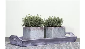 Gartenbaumschule Becker