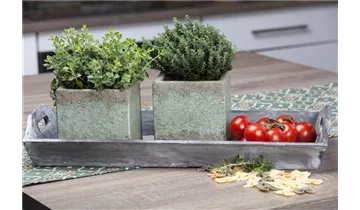 Gartenbaumschule Becker