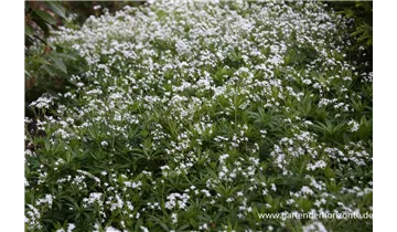 Gartenbaumschule Becker