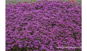 Gartenbaumschule Becker