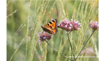 Gartenbaumschule Becker