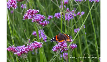 Gartenbaumschule Becker
