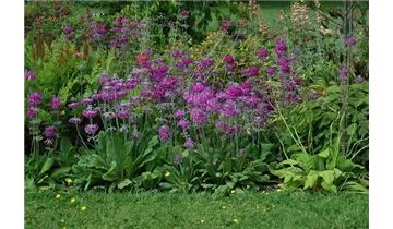 Gartenbaumschule Becker