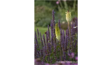 Gartenbaumschule Becker