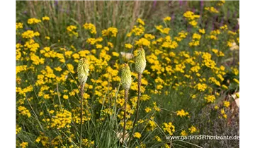 Gartenbaumschule Becker