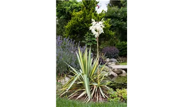 Gartenbaumschule Becker