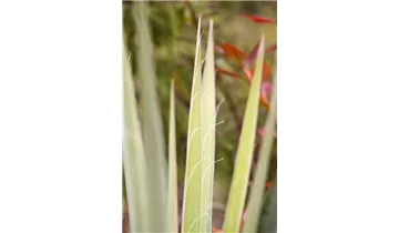 Gartenbaumschule Becker