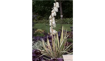 Gartenbaumschule Becker