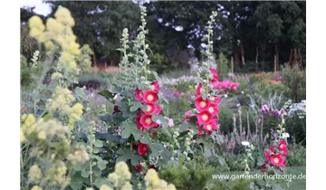 Gartenbaumschule Becker