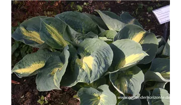 Gartenbaumschule Becker