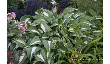 Gartenbaumschule Becker