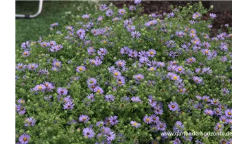 Gartenbaumschule Becker