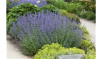 Gartenbaumschule Becker