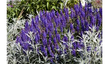 Gartenbaumschule Becker