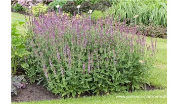 Gartenbaumschule Becker