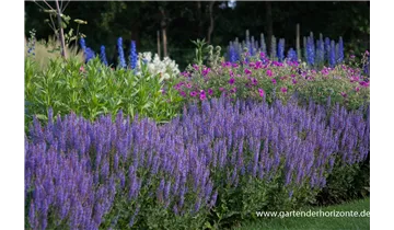 Gartenbaumschule Becker
