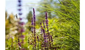 Gartenbaumschule Becker