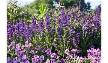 Gartenbaumschule Becker