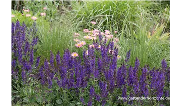Gartenbaumschule Becker