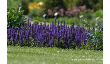 Gartenbaumschule Becker