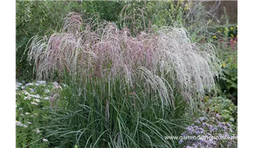 Gartenbaumschule Becker