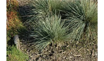 Gartenbaumschule Becker