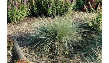 Gartenbaumschule Becker