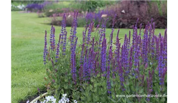 Gartenbaumschule Becker